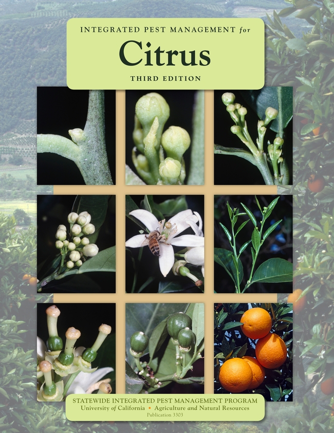 Cover Photo IPM for Citrus