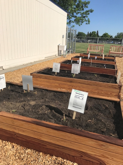 5.3.18 garden beds and benches