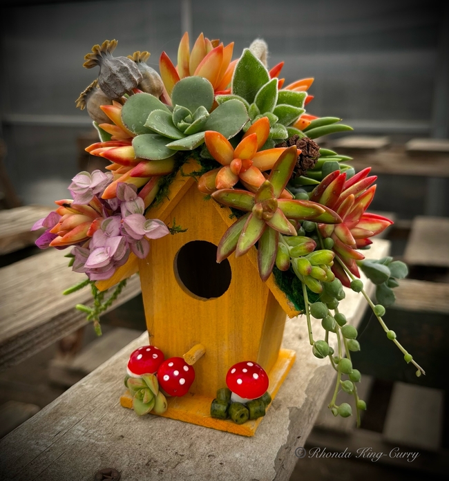 Birdhouse decorated with succulents