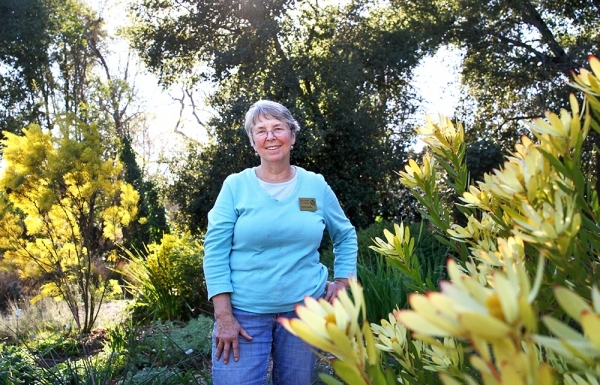 Roberta Barnes stands in the water-wise garden beds at the UC Master Gardeners Demonstration Garden. Barnes will be leading a seminar on water-wise gardening in conjunction with the Palo Alto City Library. Photo by Veronica Weber