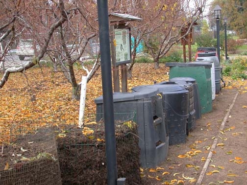 Sample compost bins