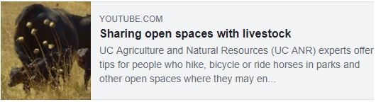 Vid-Sharing open spaces