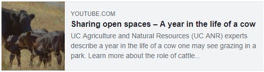 Vid-Sharing open spaces - year in life of cow