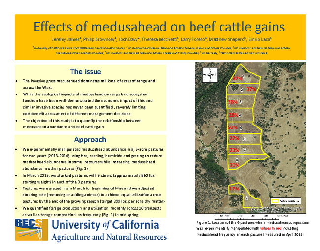 Effects of Medusahead on Beef Cattle Gains (page 1)