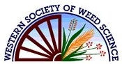 WSWS logo