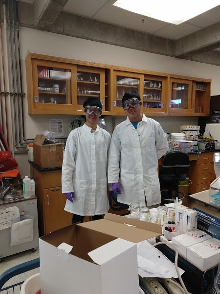 Hung Kieu and Christopher Jason in lab after setting up a large experiment.