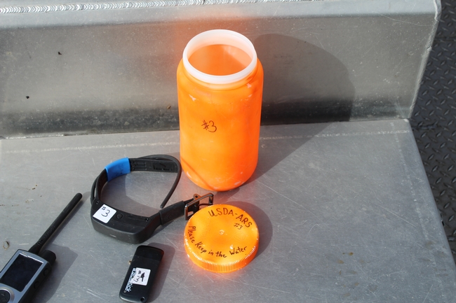 Figure 2. Setting up a drogue with radio collar and GPS recording device. The receiver for the radio collar is on the left.