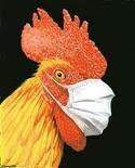 Chicken with surgical mask