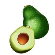 Avocado1