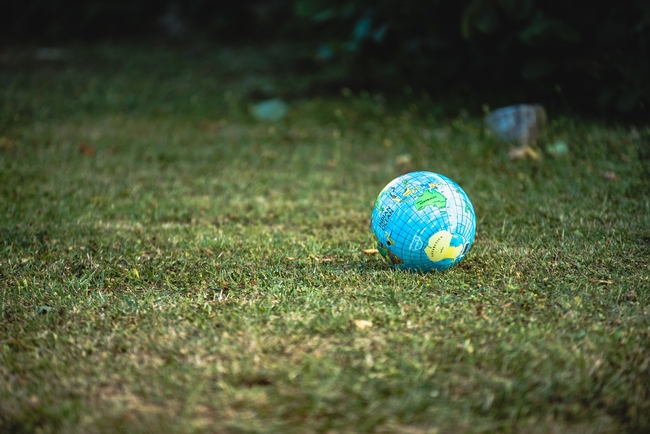 Picture of a globe of the world on a field of grass.