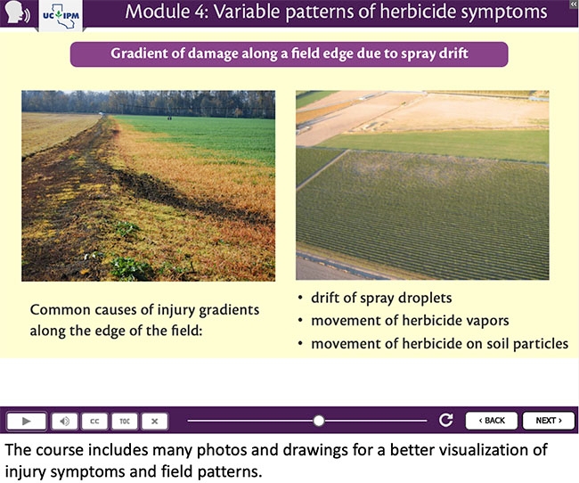 Diagnosing Herbicide Injury- New Online Course Available Now! - UC ...