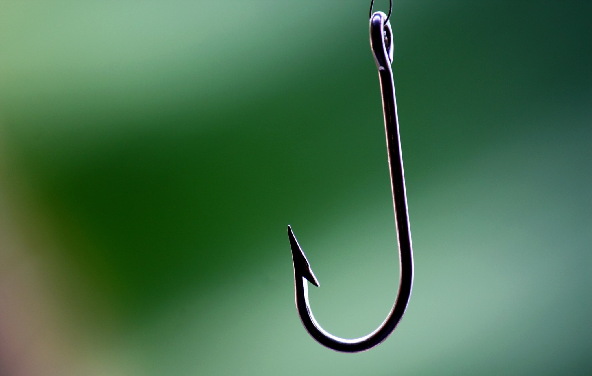 spear phishing email campaigns target uc anr leadership