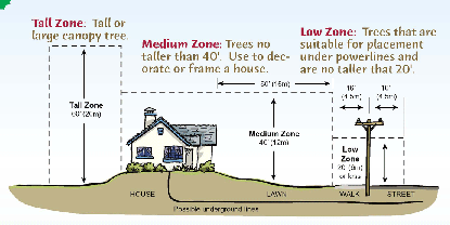 View more tree placement information in the Tree Selection pdf, linked below.