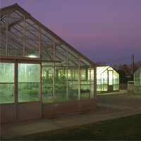 View of the Desert REC Greenhouse