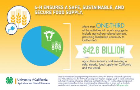 4-H Impact - Food Security
