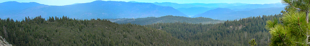 Sierra Cascade Intensive Forest Management Research Co-op