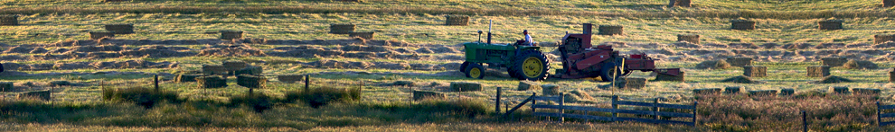 Tractor & Hay bales