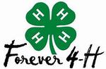 Forever 4-H