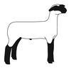 hampshire-market-lamb-2