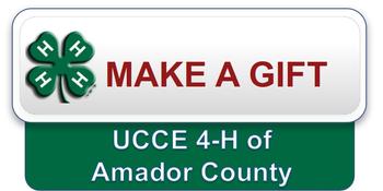 Make a Gift Button that links to the UC 4-H Donation webpage