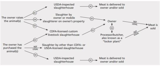 Diagram for livestock slaughter transactions in CA
