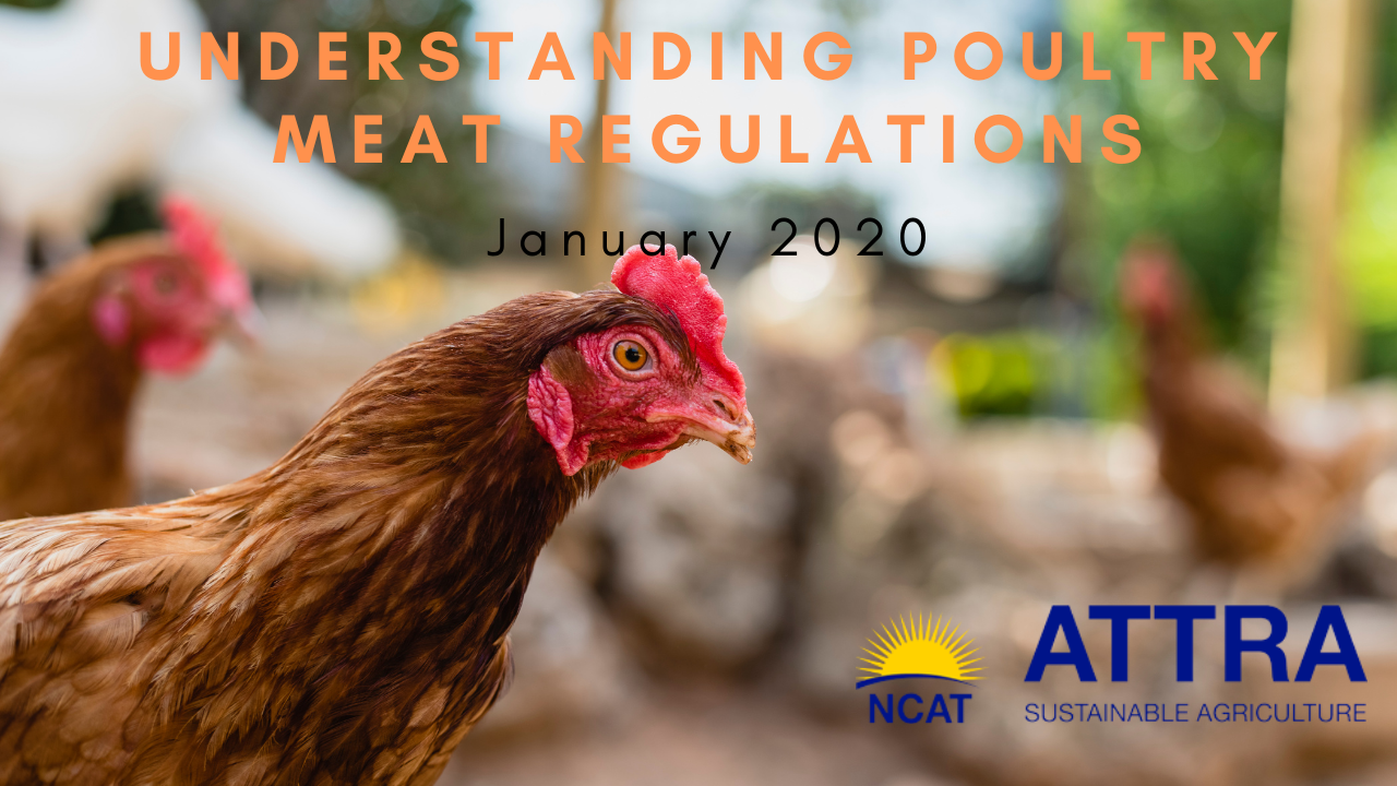 Understanding Poultry Regulations video