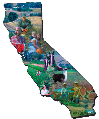 Montage photo in shape of California