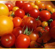 tomatoes_