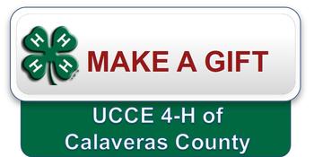 Make a Gift: UCCE 4-H of Calaveras County Button that links to the UC 4-H Donation webpage