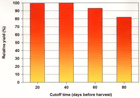 Fig. 3.  Effect of cutoff time on yield under furrow irrigation on a clay loam soil.  From Don May, 1998.
