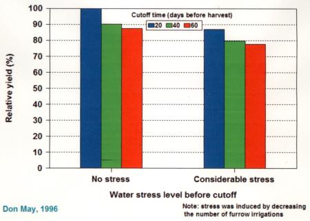 Fig. 4. Effect on yield of stress during the first part of the crop season under various cutoff times (furrow irrigation).