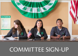 Committee Sign-Up