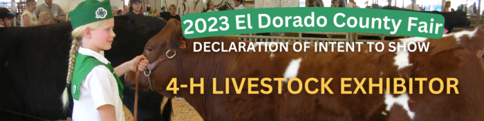 2023 El Dorado County Fair (1)