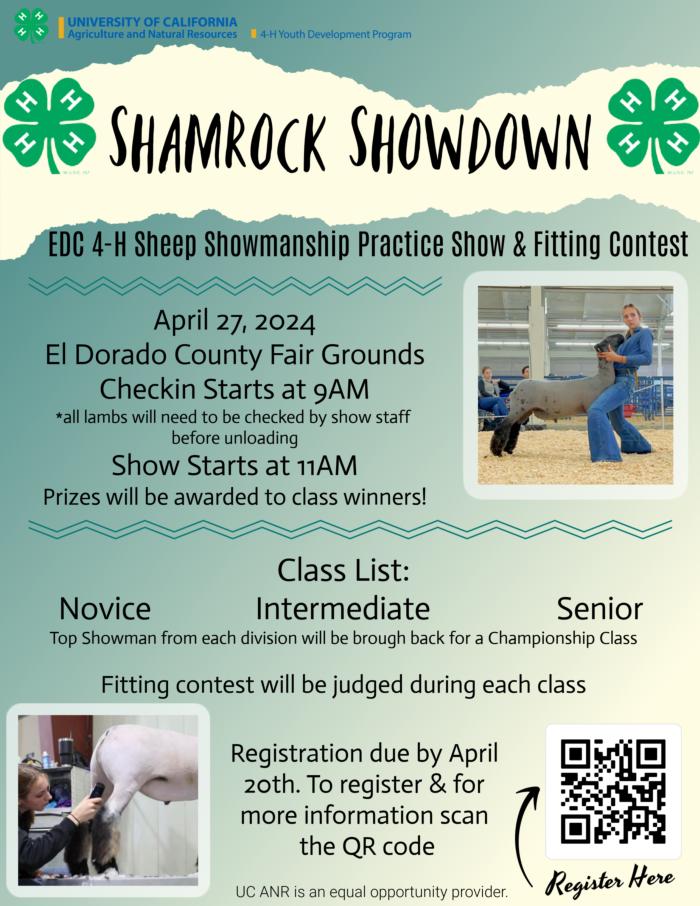 Shamrock Showdown Flyer 2024