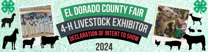 2024 EDC 4-H Intent to Show El Dorado County Fair (1)