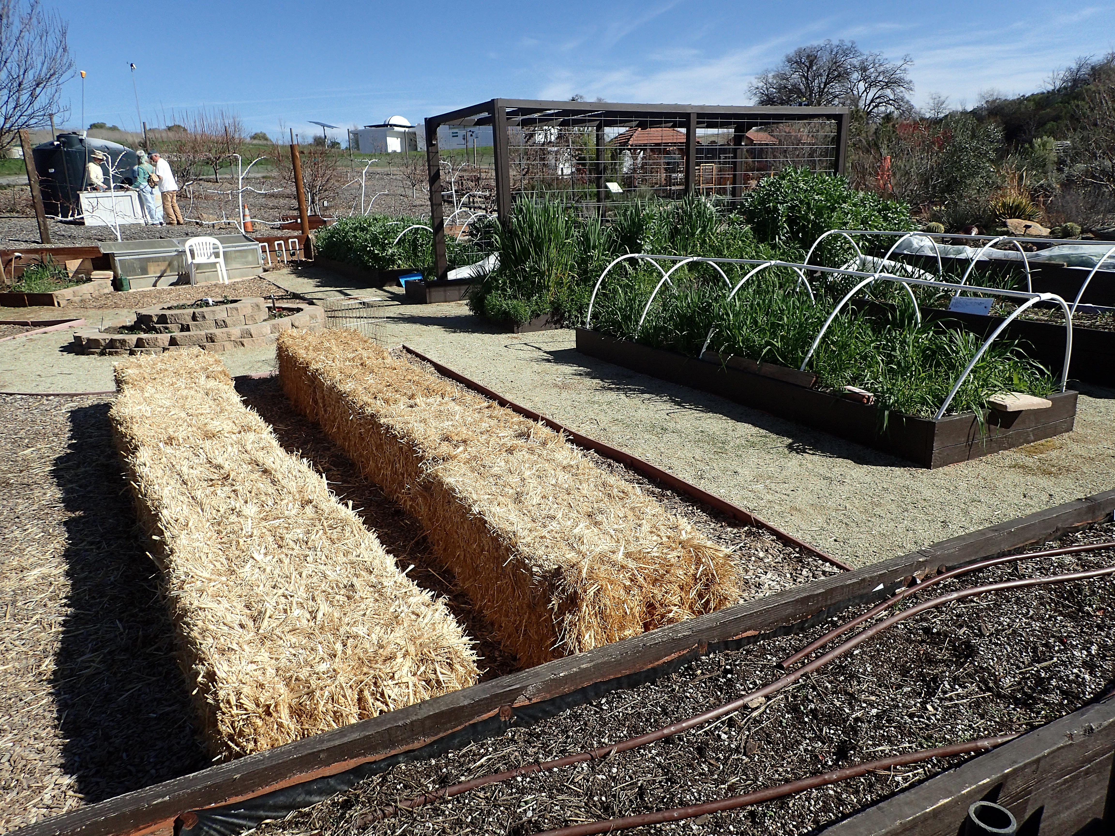 2-3-2018, Straw bales delivered and placed in the Vegetable Garden