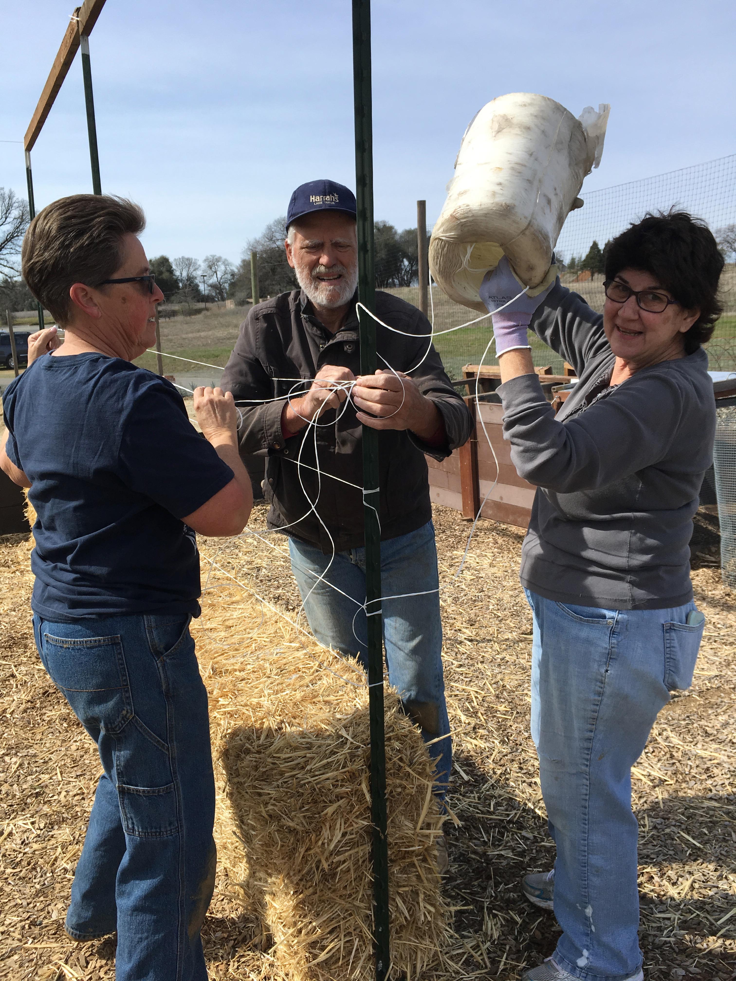 2-24-2018, MG volunteers building a trellis