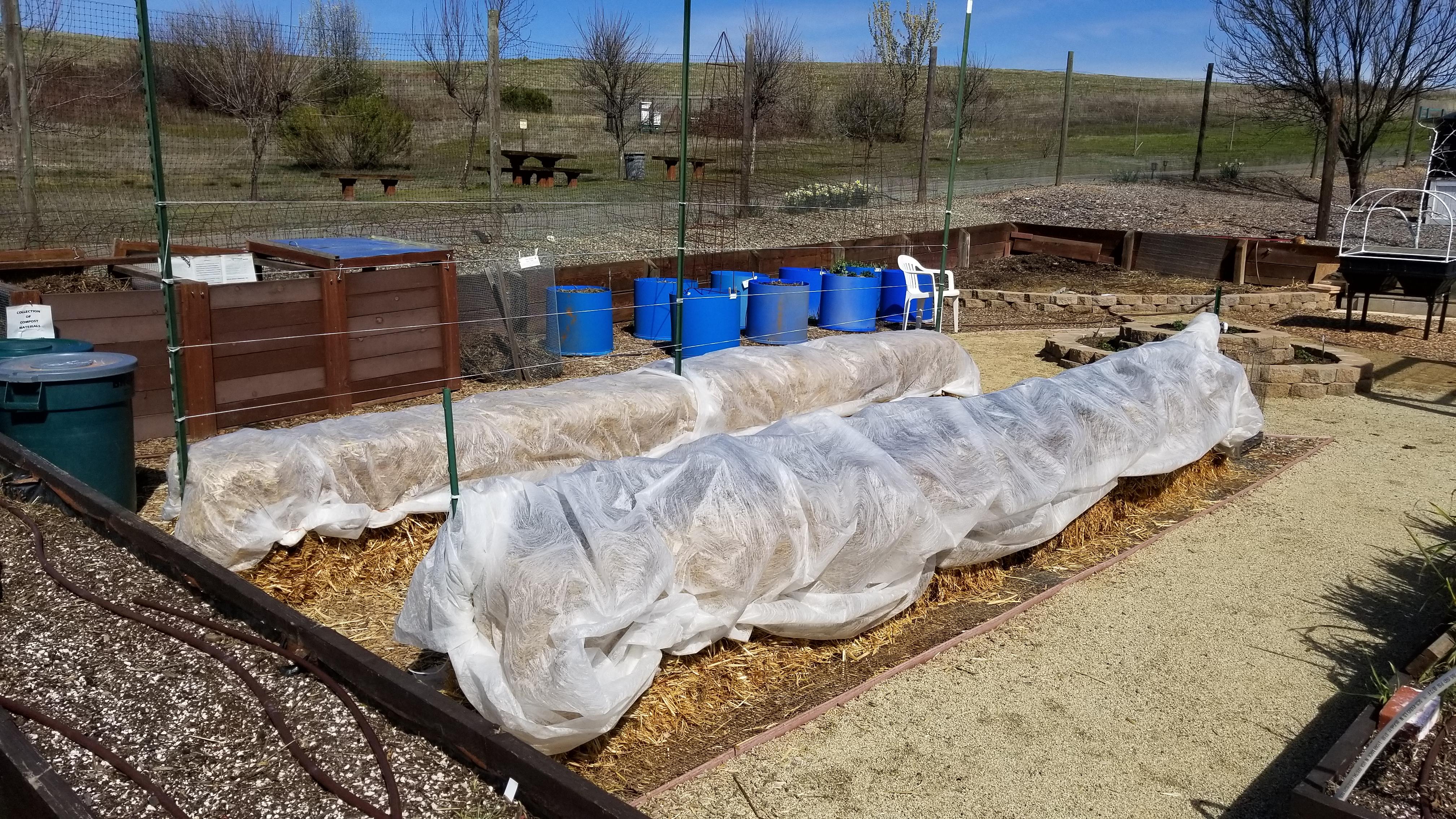 3-7-2018, The addition of row covers for weather and critter protection