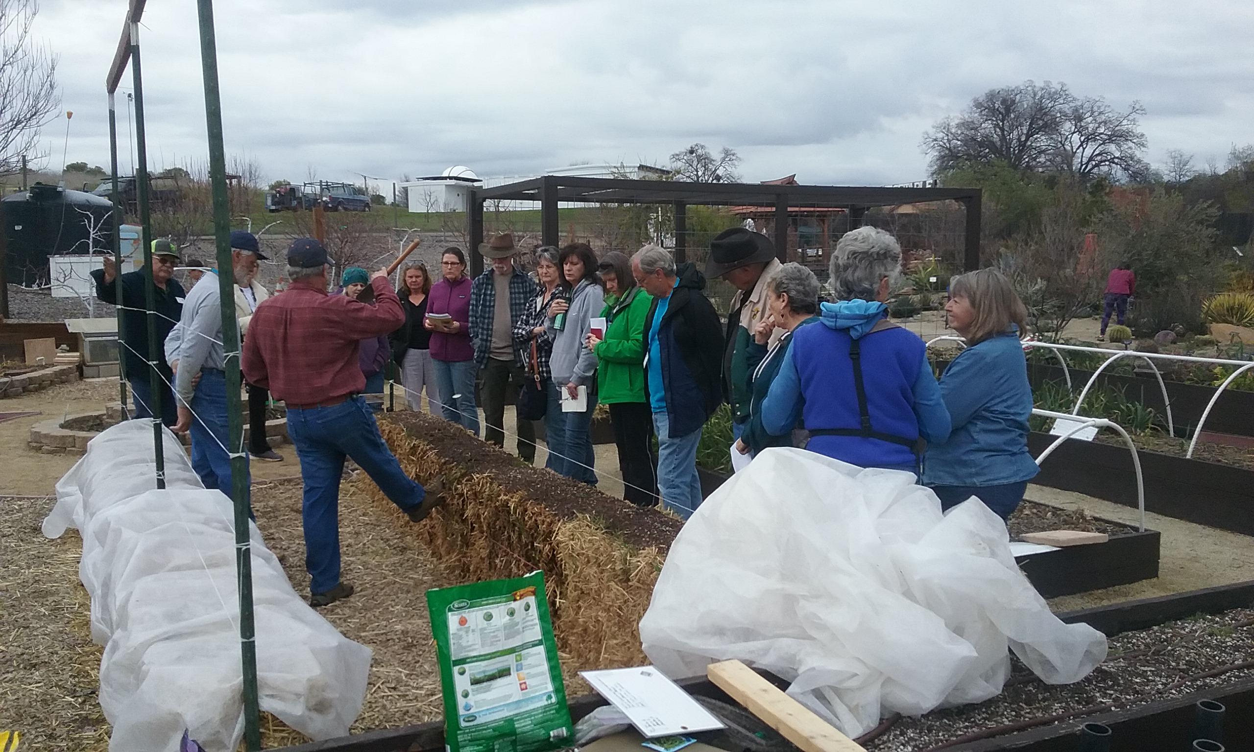 3-10-2018, 2nd Public class 'Straw Bale Gardening - Part 2' - planting
