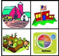 Farm to Fork Curriculum