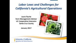 9 minute vido on Labor Laws and Challenges