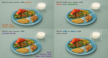 Using community suggestions, a healthy eating plate began to take form