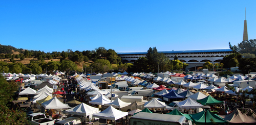 Sunday Civic Center Market Tents_cropped