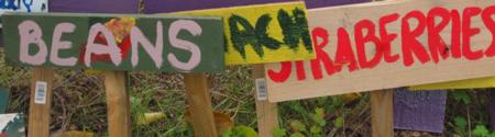 Crop signs_cropped