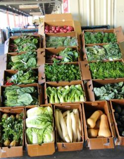 Vertical boxed veggies_cropped