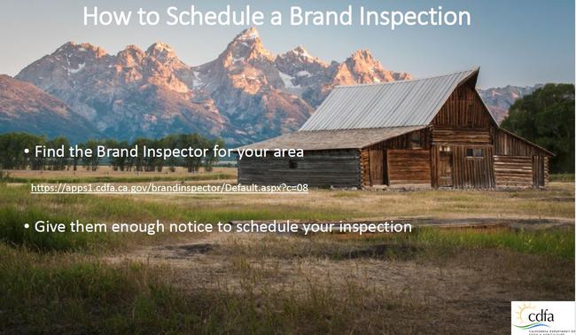 Brand Inspection Presentation