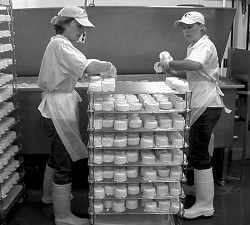 Cowgirl Creamery cheesemakers