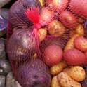 Colorful spuds