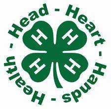head hands heart health