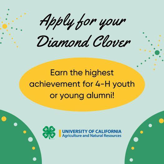 Apply for your Diamond Clover. Earn the highest achievement for 4-H youth or young alumni.